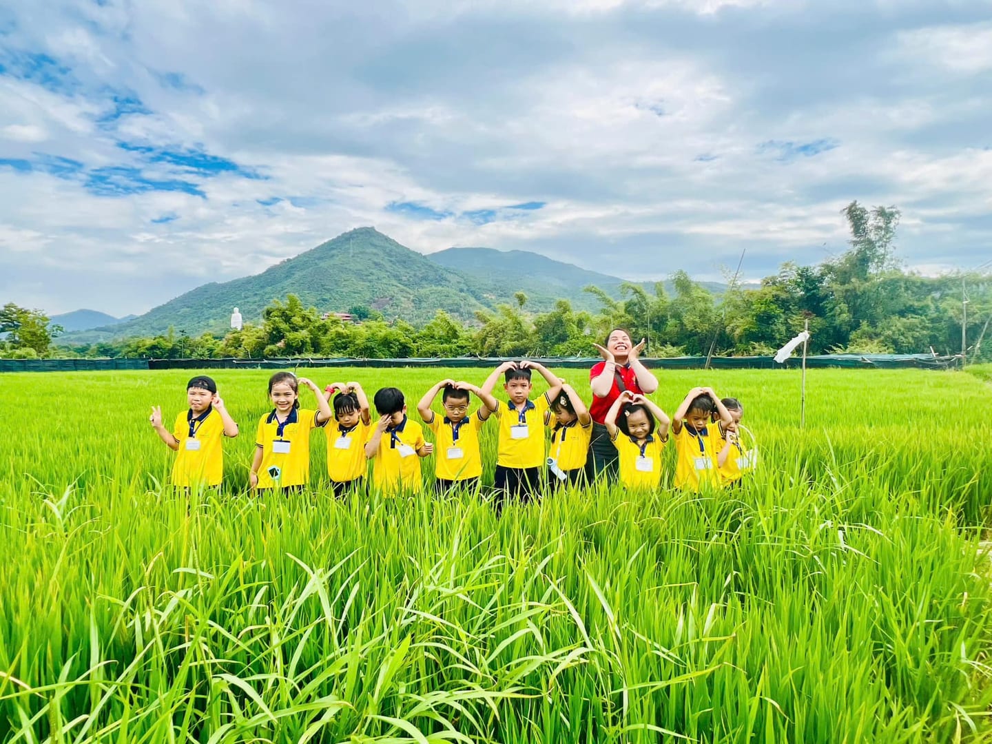 Dã ngoại đồng lúa 🌾
