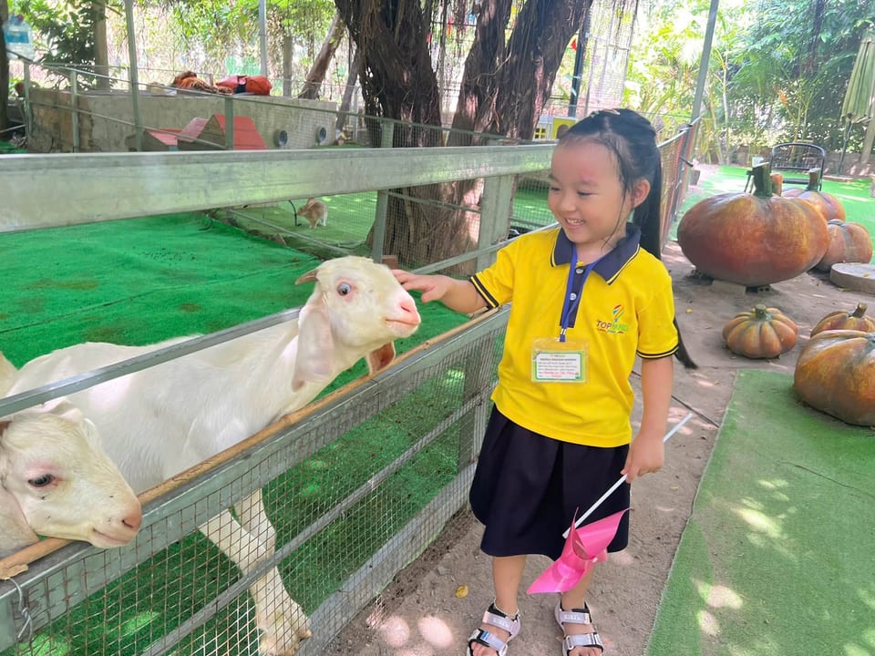 Đi thăm vườn thú 🦒